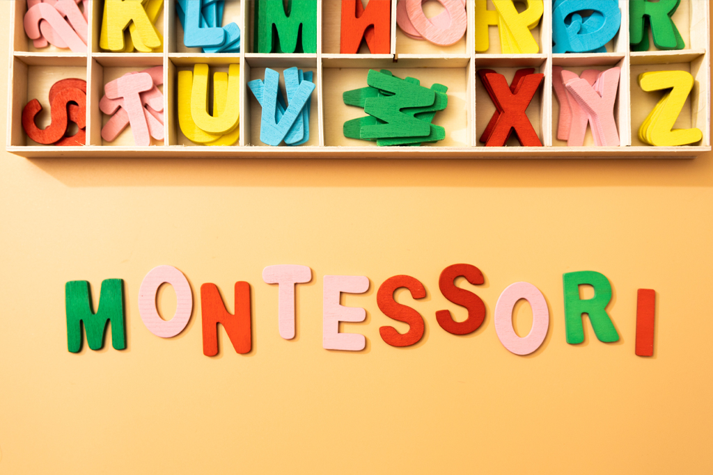 Montessori Eğitim Modeli